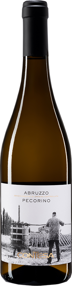 Abruzzo Pecorino